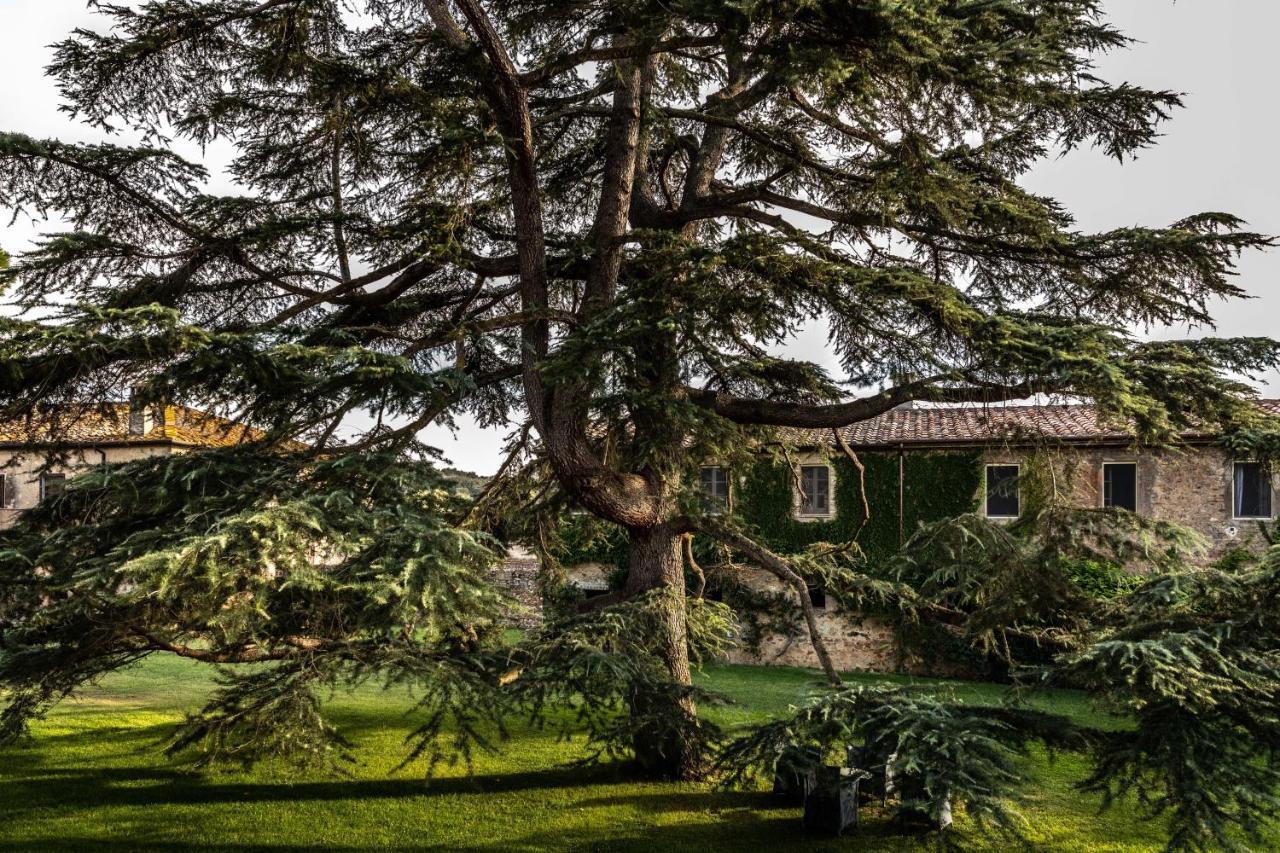 La Pescaia Resort Bagian luar foto
